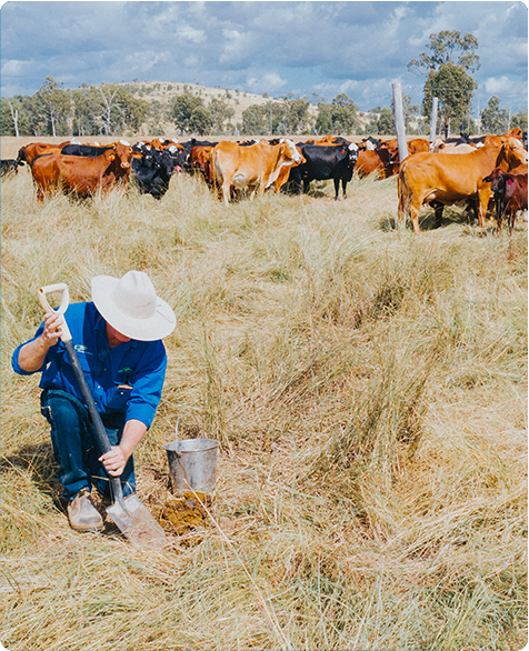 Red meat and land use