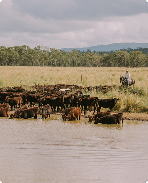 Red meat joins the war on waste
