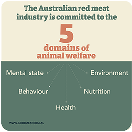 5 domain of animal welfare.png
